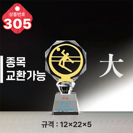 크리스탈 트로피 305 #4