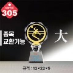 크리스탈 트로피 305