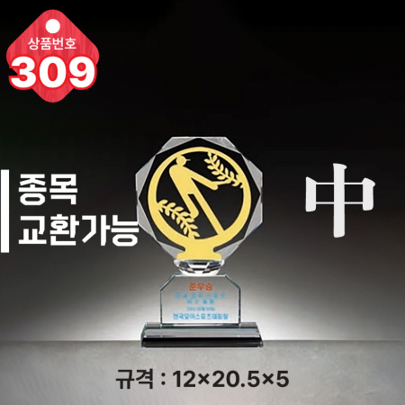 크리스탈 트로피 308 #5
