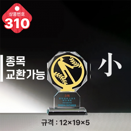 크리스탈 트로피 308 #6