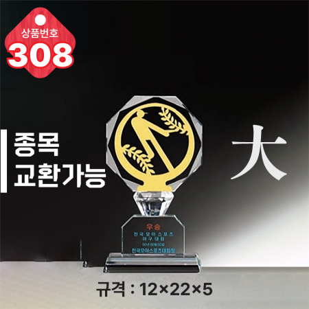 크리스탈 트로피 308 #3