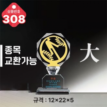 크리스탈 트로피 308 #2