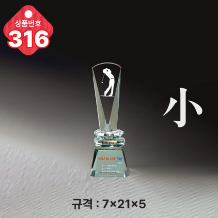 크리스탈 트로피 314 #6