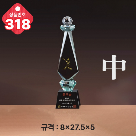 크리스탈 트로피 317 #5