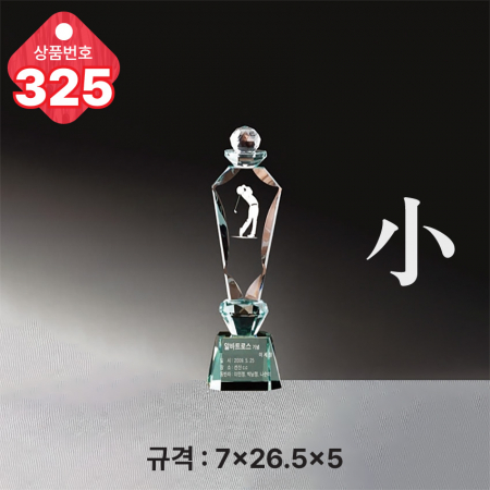 크리스탈 트로피 323 #6