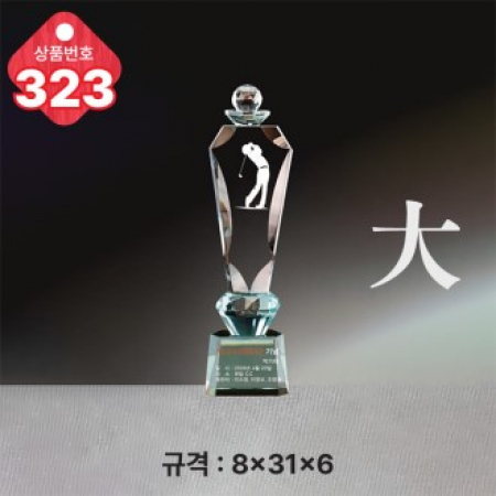 크리스탈 트로피 323 #2