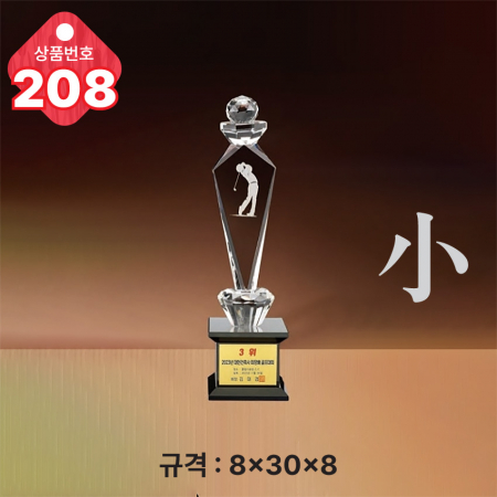 크리스탈 트로피 206 #6