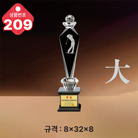 크리스탈 트로피 209 #3