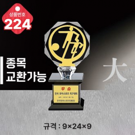 크리스탈 트로피 224 #2