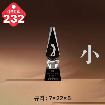 크리스탈 트로피 230 #6