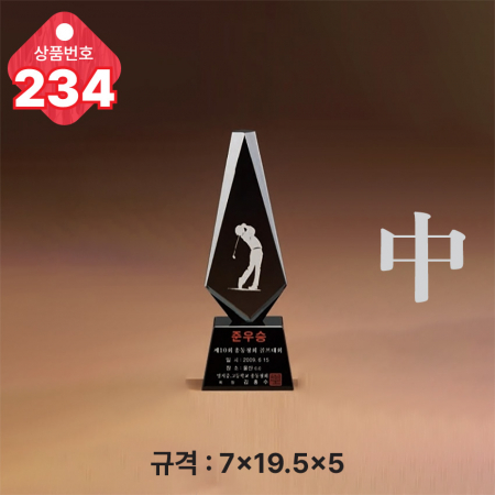 크리스탈 트로피 233 #5