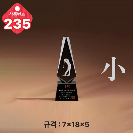 크리스탈 트로피 233 #6