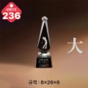 크리스탈 트로피 236