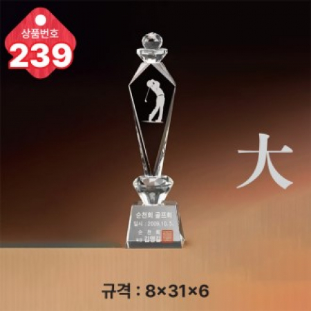 크리스탈 트로피 239 #2