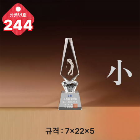 크리스탈 트로피 242 #6