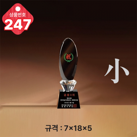 크리스탈 트로피 245 #6