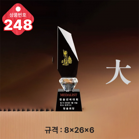 크리스탈 트로피 248 #3