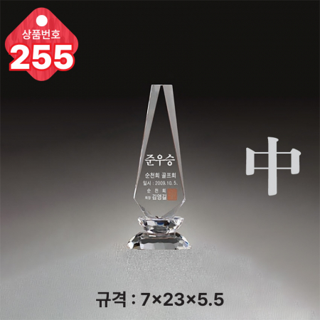 크리스탈 트로피 254 #5