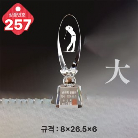크리스탈 트로피 257 #2