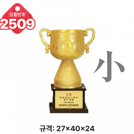 일반 조형 트로피 2507 #6