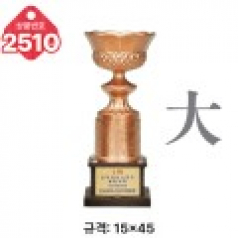 일반 조형 트로피 2510
