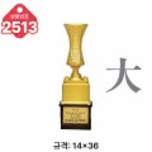 일반 조형 트로피 2513