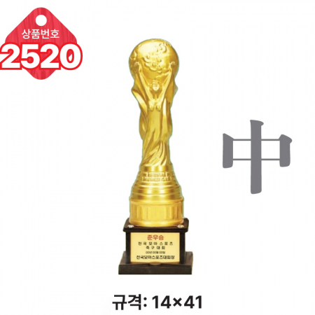 일반 조형 트로피 2519 #5