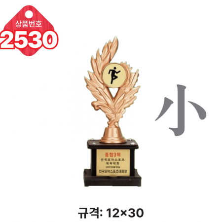 일반 조형 트로피 2528 #6