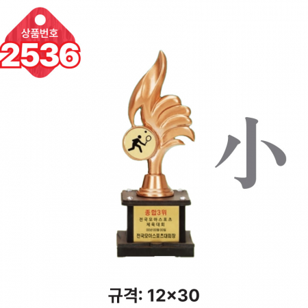 일반 조형 트로피 2534 #6