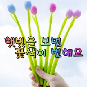 태양광 색상이 변하는 장미 실리콘 볼펜 마H8