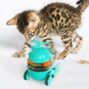 심플 프로펠러 오뚝이 간식볼(블루그린) (S-1)