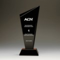 기업 퇴직 정년퇴임 상패 E1210