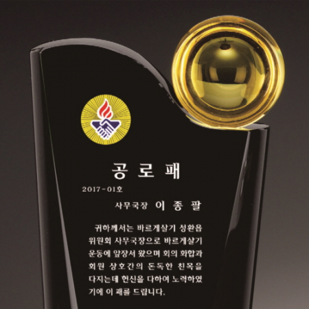 원형볼 블랙 옐로우 투톤 통 크리스탈 상패 #4